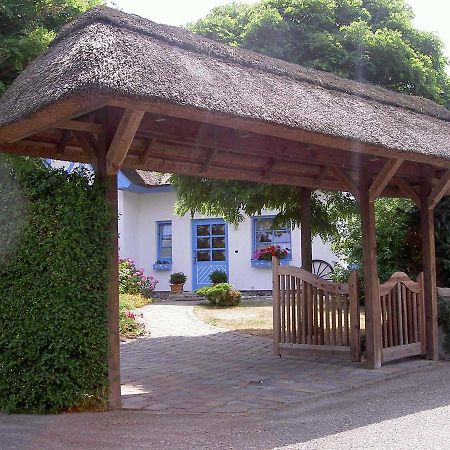 Ferienhaus Diekelmann _ Objekt 258 Diedrichshagen  Zewnętrze zdjęcie