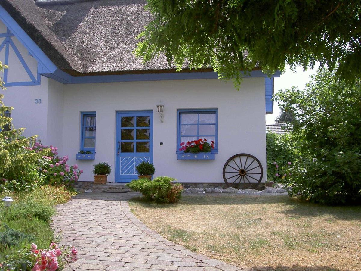 Ferienhaus Diekelmann _ Objekt 258 Diedrichshagen  Zewnętrze zdjęcie